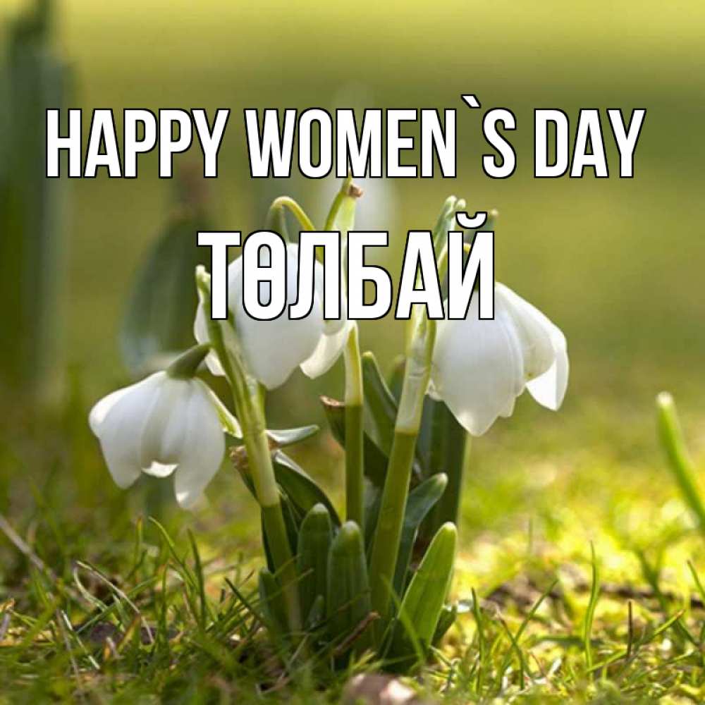 Greetings card с именем, ТӨЛБАЙ happy women`s day ранние цветы 2 Greetings with text for free download 
